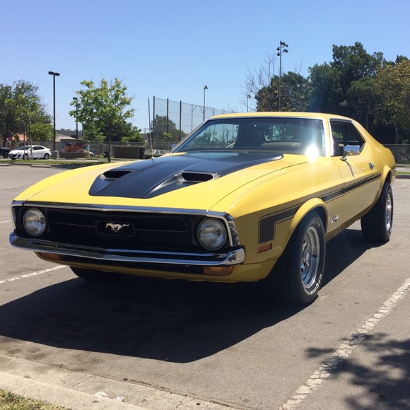 Meet your Posher, Carlos - Picture 1 of 1